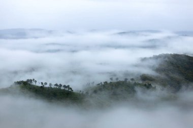 mountain ridge and clouds in rural jungle bush forest
