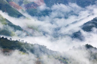 Aerial view of mist, cloud and fog hanging over a lush tropical rainforest after a storm