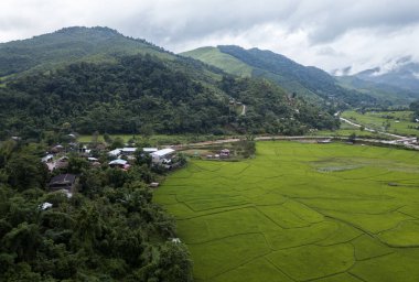 top view Terraced rice field Nan sapan Northern Thailand