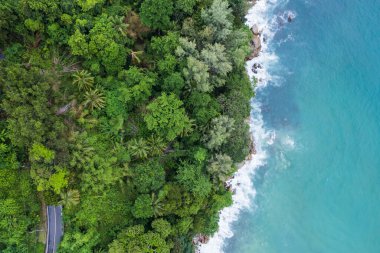 Yeşil ormandan ve dağdan geçen kırsal yolun üst görüntüsü.