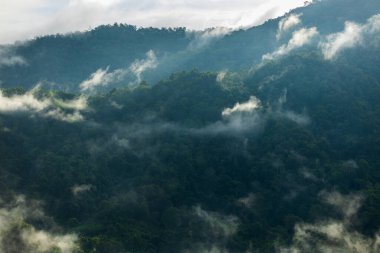 mountain ridge and clouds in rural jungle bush forest