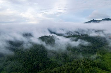 mountain ridge and clouds in rural jungle bush forest