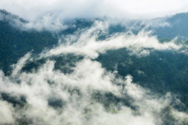 mountain ridge and clouds in rural jungle bush forest