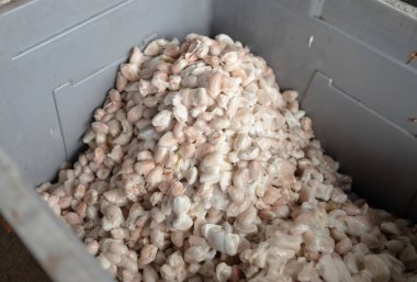 Tahta bir yüzeyde kakao çekirdeği ve kakao kabuğu..