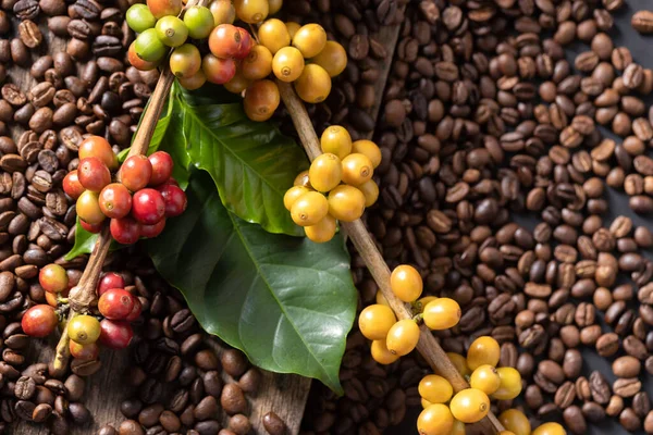 Ziarna Kawy Kawie Zielone Liście Drewnianym Tle Świeże Ziarna Kawy — Zdjęcie stockowe