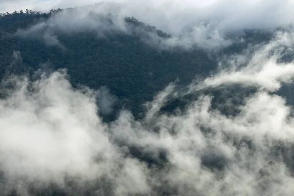 stock image Top view of countryside road passing through the green forrest and mountain