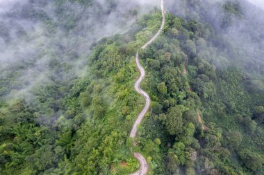 Yeşil ormandan ve dağdan geçen kırsal yolun üst görüntüsü.