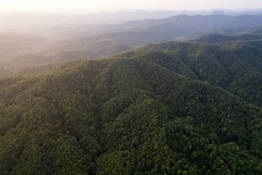 Yeşil ormandan ve dağdan geçen kırsal yolun üst görüntüsü.