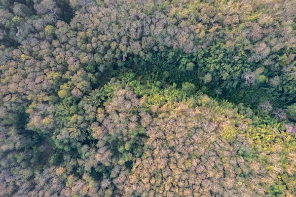 Stock image Top view of countryside road passing through the green forrest and mountain