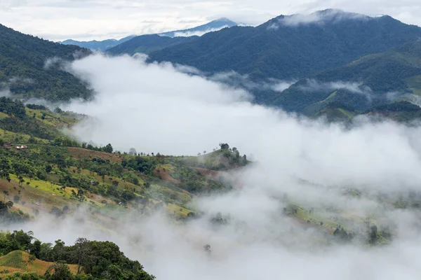 Tampilan Teratas Landscape Morning Mist Dengan Lapisan Gunung Utara Thailand Stok Foto Bebas Royalti