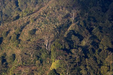 Top view Landscape of Morning Mist with Mountain Layer