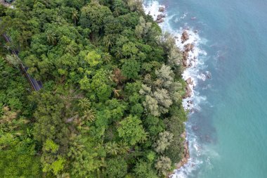 Beautiful tropical island with beach and coconut palm tree, freedom beach phuket