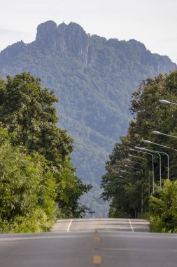 Kırsal yol yeşil orman ve dağdan geçiyor.