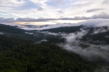 Top view Landscape of Morning Mist with Mountain Layer at north of Thailand. mountain ridge and clouds in rural jungle bush forest
