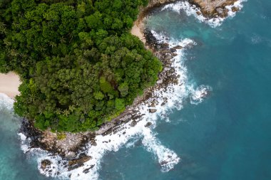 Beautiful tropical island with beach and coconut palm tree, freedom beach phuket