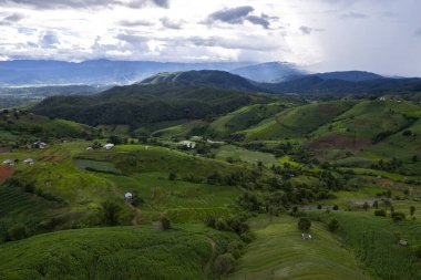 Mae Cham Chiangmai Kuzey Tayland 'da pirinç tarlası.