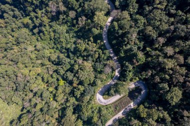 Baharda gün batımında güzel yeşil ormandaki yol manzarası. Renkli manzara