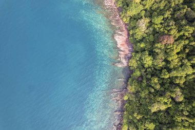 Mavi gökyüzü olan tropik plaj Koh Kood veya Koh Kut Tayland.