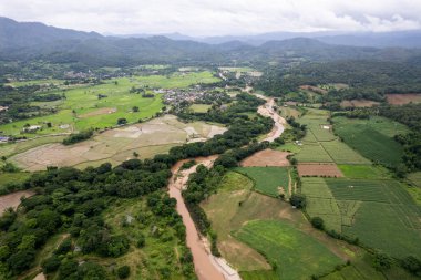 Mae Cham Chiangmai Kuzey Tayland 'da pirinç tarlası.