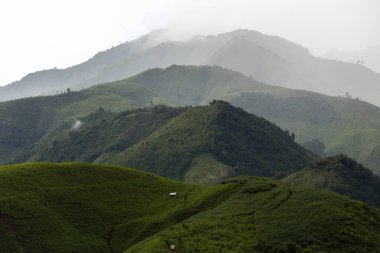 Landscape of Morning Mist with Mountain Layer at north of Thailand. mountain ridge and clouds in rural jungle bush forest