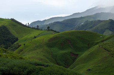 Tayland 'ın kuzeyindeki Dağ Katmanı ile Sabah Buğusu manzarası. Kırsal orman ormanlarında dağ sırtı ve bulutlar