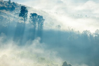 Tayland 'ın kuzeyindeki Dağ Katmanı ile Sabah Buğusu manzarası. Kırsal çalılıklarda dağ sırtı ve bulutlar