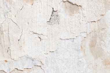 Açık Gri Stucco Duvar dokusu. Soyut Arkaplan