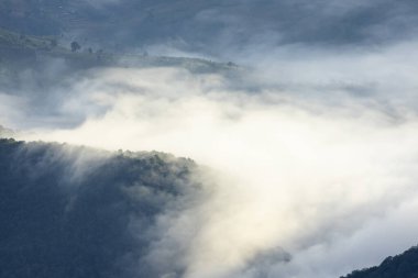 Dağ Katmanıyla Sabah Buğusu manzarası. Kırsal orman ormanlarında dağ sırtı ve bulutlar