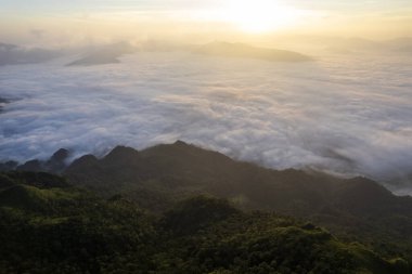 Chiang rai Tayland 'da sisli ve bulutlu gökyüzü ile Phu Chifa Dağı