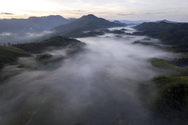 Landscape of Morning Mist with Mountain Layer at north of Thailand. mountain ridge and clouds in rural jungle bush forest