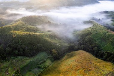 Landscape of Morning Mist with Mountain Layer at north of Thailand. mountain ridge and clouds in rural jungle bush forest