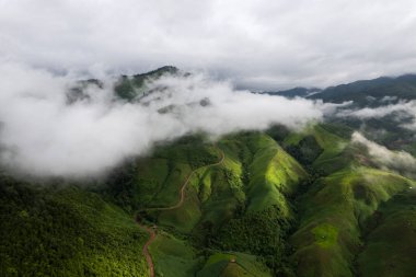 Dağ Katmanıyla Sabah Buğusu manzarası. Kırsal orman ormanlarında dağ sırtı ve bulutlar