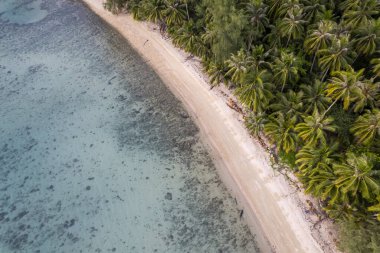 Mavi gökyüzü olan tropik plaj Koh Kood veya Koh Kut Tayland.