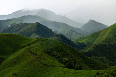 Landscape of Morning Mist with Mountain Layer at north of Thailand. mountain ridge and clouds in rural jungle bush forest