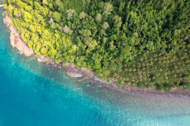 Mavi gökyüzü olan tropik plaj Koh Kood veya Koh Kut Tayland.