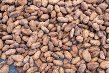 Tahta bir yüzeyde kakao çekirdeği ve kakao kabuğu..