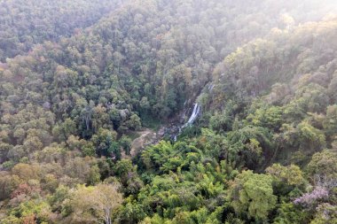 Sonbaharın en yüksek mevsiminde yaprak değiştiren yaprak döken bir orman manzarası. Canlı görünümün resimli uçan görüntüsü