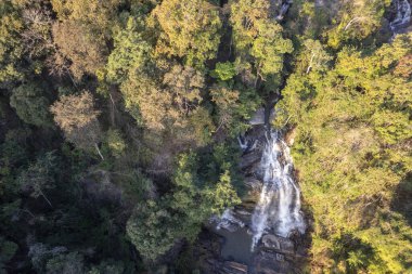 Sonbaharın en yüksek mevsiminde yaprak değiştiren yaprak döken bir orman manzarası. Canlı görünümün resimli uçan görüntüsü