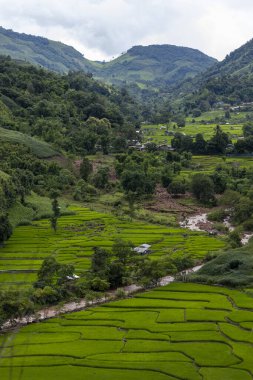 Dağ Katmanıyla Sabah Buğusu manzarası. Kırsal orman ormanlarında dağ sırtı ve bulutlar
