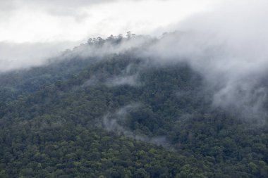 Dağ Katmanıyla Sabah Buğusu manzarası. Kırsal orman ormanlarında dağ sırtı ve bulutlar