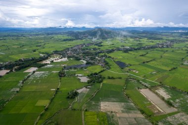 Pirinç alan çiftçi ve Tayland'da sabah, Güneş