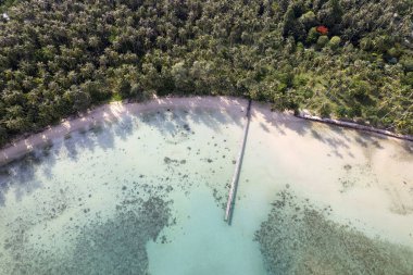 Mavi gökyüzü olan tropik plaj Koh Kood veya Koh Kut Tayland.