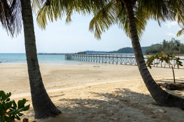 Mavi gökyüzü olan tropik plaj Koh Kood veya Koh Kut Tayland.