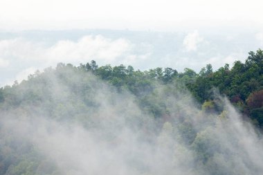 Dağ Katmanıyla Sabah Buğusu manzarası. Kırsal orman ormanlarında dağ sırtı ve bulutlar