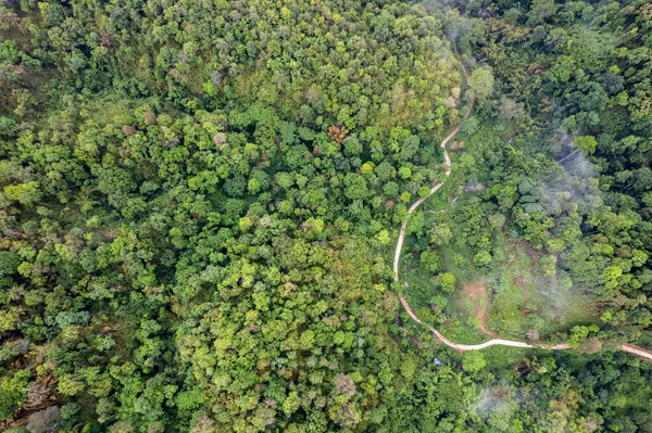 Dağ Katmanıyla Sabah Buğusu manzarası. Kırsal orman ormanlarında dağ sırtı ve bulutlar