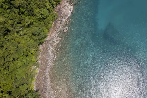 Mavi gökyüzü olan tropik plaj Koh Kood veya Koh Kut Tayland.
