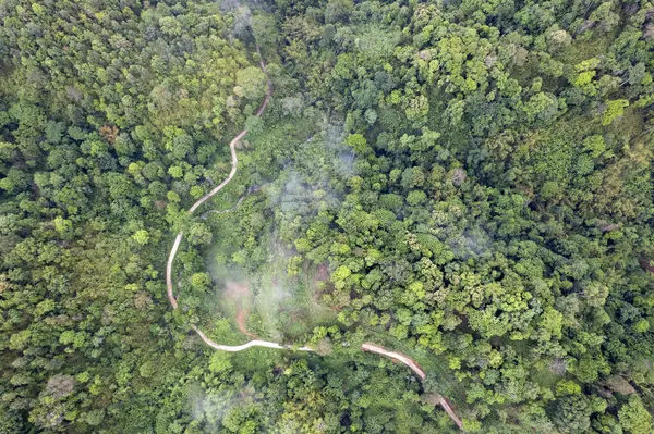 Dağ Katmanıyla Sabah Buğusu manzarası. Kırsal orman ormanlarında dağ sırtı ve bulutlar