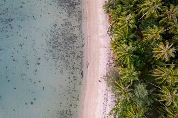 Mavi gökyüzü olan tropik plaj Koh Kood veya Koh Kut Tayland.