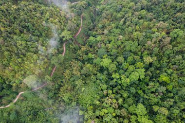Dağ Katmanıyla Sabah Buğusu manzarası. Kırsal orman ormanlarında dağ sırtı ve bulutlar