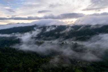 Dağ Katmanıyla Sabah Buğusu manzarası. Kırsal orman ormanlarında dağ sırtı ve bulutlar